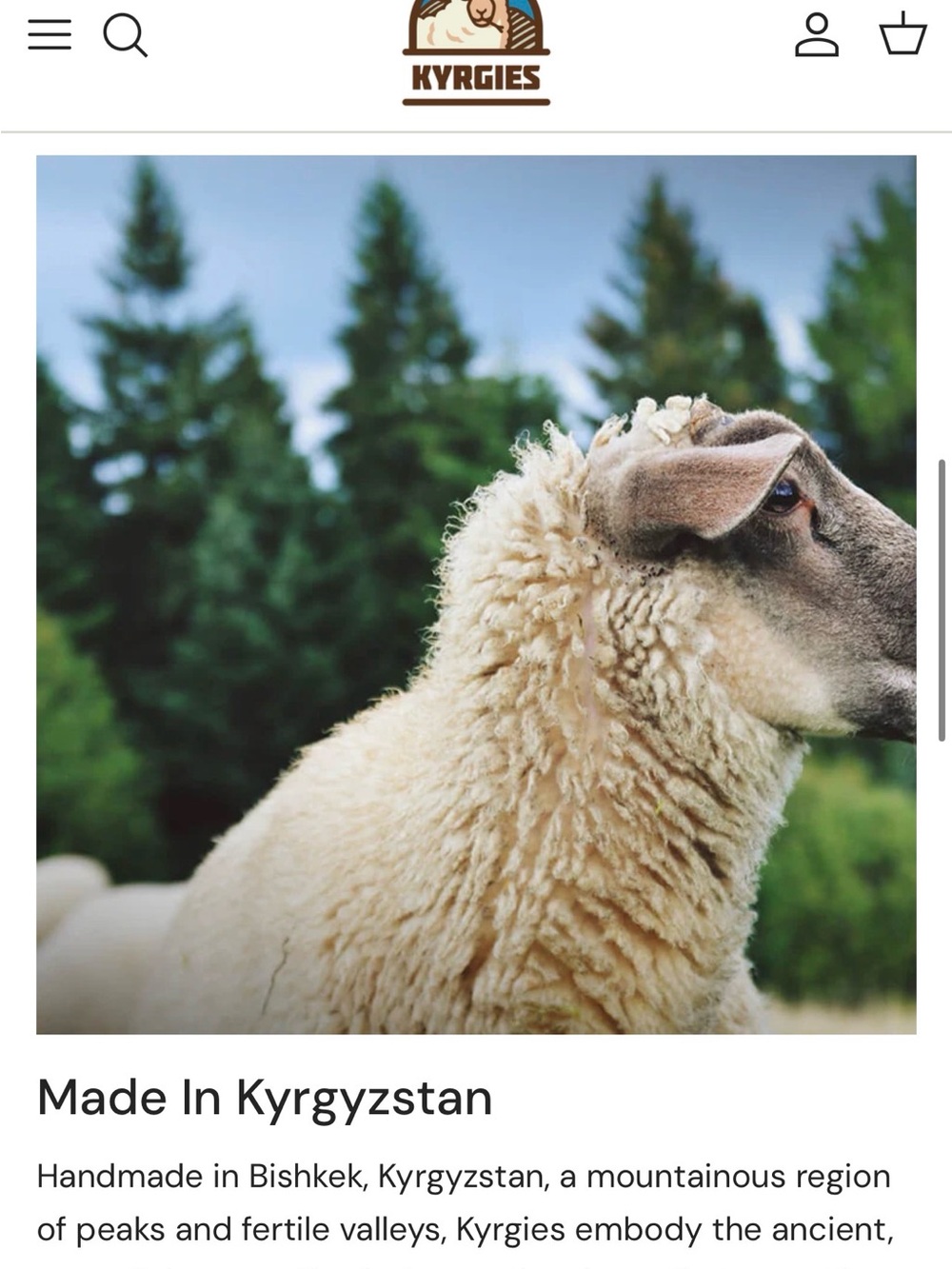 Kyrgies makes world-class wool slippers that are comfortable, stylish, handmade. - Picture 4 of 15